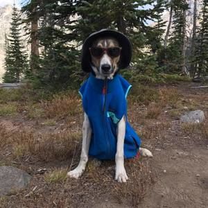 Meet your Posher, Magdalena